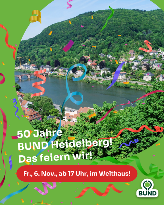 Bild von Heiderlberg mit Konfetti